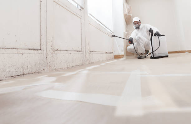 24/7 Emergency Basement Mold Remediation experts in Hallieford, VA