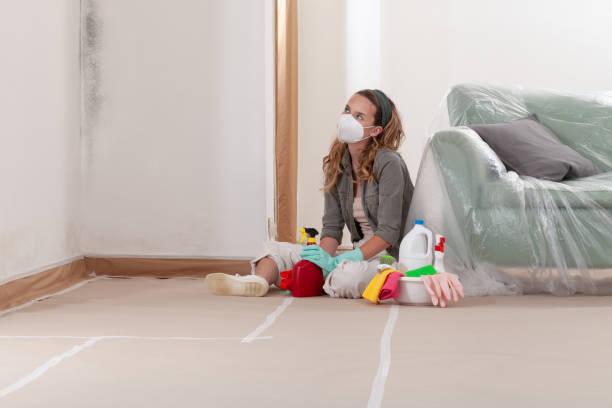 Reliable Basement Mold Remediation contractor in Hallieford, VA by 24 Hour Mold Removal